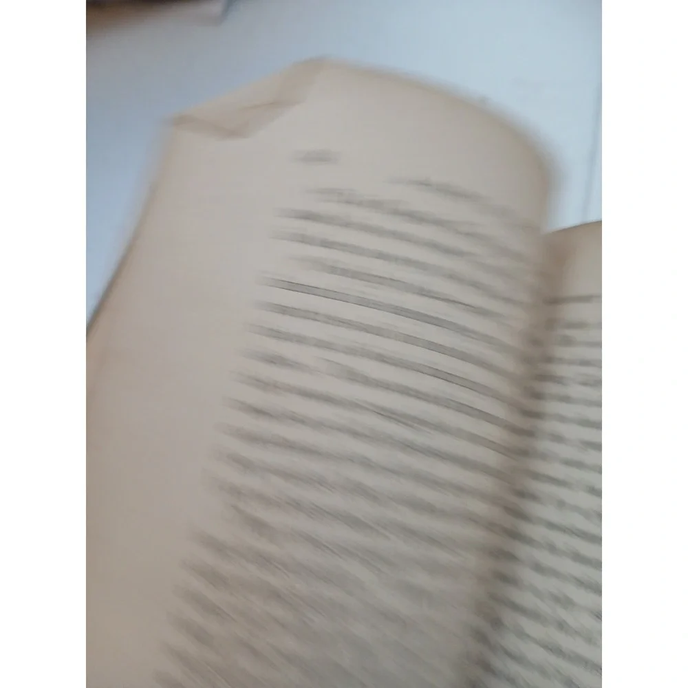 1869 TRIED AND TRUE OR LOVE AND LOYALTY Great Rebellion Mrs. Spencer Civil War